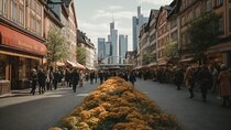 Private Transfer: Frankfurt to River Cruise Dock Nuremberg Port/Harbor transport