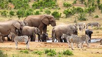 2-day Private Garden Route Tour from Cape Town 
