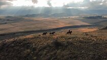 Horseback riding and barbecue in a private ranch - La Carrera, Mendoza