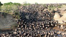 7 Days Safari to Maasai Mara, Nakuru, Naivasha and Amboseli