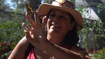City tour express; butterfly, tequila, and beach an ecological day