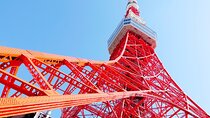 Tokyo 1-Day Bus Tour, hotel pick-up and drop-off, Japan Gray Line