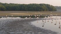 Bird Watching Tour Dubai
