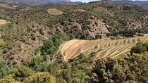  2 Days Wine Tasting Private Tour