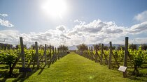 Private Maipu Valley Wine Tour from Mendoza