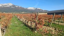  Explore Rioja's Essence: 3 Top Wineries & Gourmet Lunch