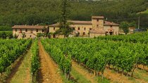 Chianti Day trip from Florence
