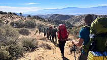 Private-36 Hour Adventure in Joshua Tree National Park