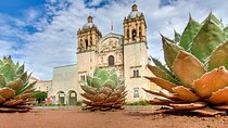 Half Day Private Historical Tour of Santo Domingo