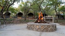 3 Day Kruger Glamping Budget Adventure