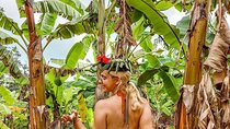 Discover Spice tour experience with Local lunch 