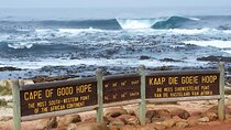 Cape Point , Boulder Beach Penguins and Cape of Good Hope Tour.