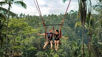 Private Tour in Ubud with Jungle Swing