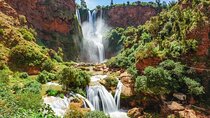 Day Trip to the Water Falls in Ouzoud 