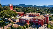 Wine Tasting, Cannes, Coco Chanel, Perfume Factory & Grasse