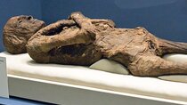 Historical Day Tour To Luxor And Mummification Museums