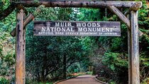 Private Muir Woods, Sausalito, and Marin Headlands Tour