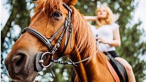 Ultimate Tulum Adventure: ATVs, Horses, Ziplines & Cenotes