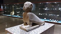 Day Tour Visit Kalabsha Temple And Nubian Museum From Aswan