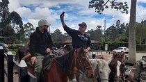 Horseback 