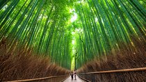 Kyoto Arashiyama Customized Private Tour with Licensed Guide