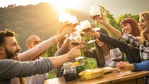 Wine Tour Athens to visit 2 of the most Award-Winning Wineries