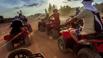 Private tour quad and visit the Bedouin village & Camel Ride