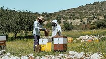Discover Crete Privately:Wine, Honey, History, and Local Cuisine 