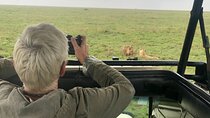 3 Days Serengeti National Park