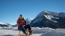 Day Sledding in Interlaken
