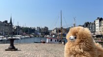 2-Days Customisable Private Guided Tour in Normandy & Brittany
