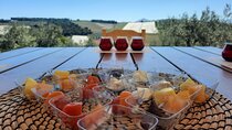 Private tour in Nafplio with Olive oil Tasting Tour in Corinth 