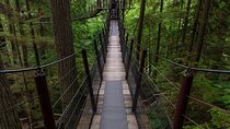 Private Grouse Mountain and Capilano Park Tour in Vancouver