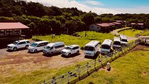 TransAlvarado, private services from or to Monteverde