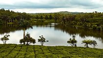 Tea Route - Private Full Day 