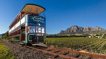 Cape Town Private Full Day Cape Winelands Tour Experience
