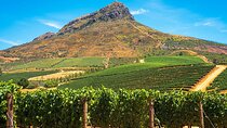 Full Day Stellenbosch and Franschhoek Wine Tasting Tour