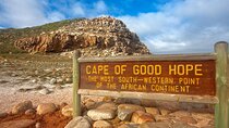 Full Private Tour of Cape Peninsula and Boulders Beach Penguins