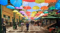 Full day North Tour of Mauritius with lunch For Solo Travellers