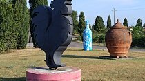 Visit Chianti - 3 Cellars, Lunch Experience & Private Wine Tour