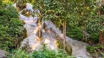 Private Bua Thong Sticky Waterfalls Sightseeing Half Day Tour 