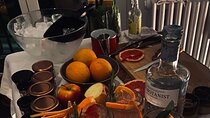 Hungarian Gin and Tonic Tasting and Workshop