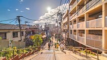Tokyo Full Day Private Explorer Walking Tour