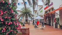 Private Shopping Tour from San Diego to Outlets at San Clemente