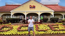 Unforgettable Day on Oahu | Small Group Circle Island Tour