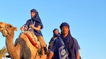 Camel in Marrakech at sunset