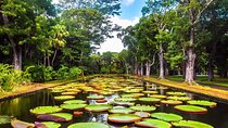 Magical North: Full Day Private guided North Tour