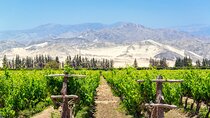 Half-Day Private Pisco Route Wine Tour from Ica 