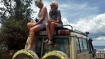 7 Days Tour in Big Five Private Safari in Tanzania 