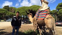Private Half Day Guided City Tour in Tangier 